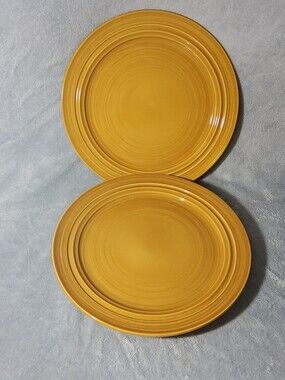 (2) Harper Collection By Noble Excellence Stoneware Plates Golden Rustic Yellow
